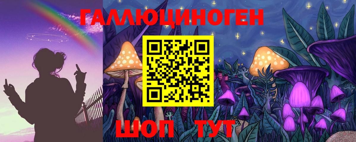 Киреевск  Галлюциногенные грибы мицелий  Галлюциногенные грибы Psilocybe  Вход с VPN 